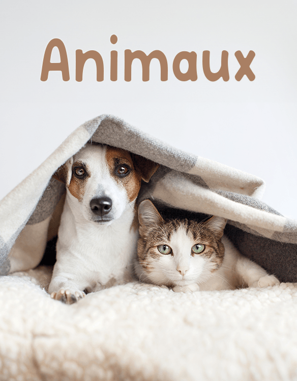 Animaux